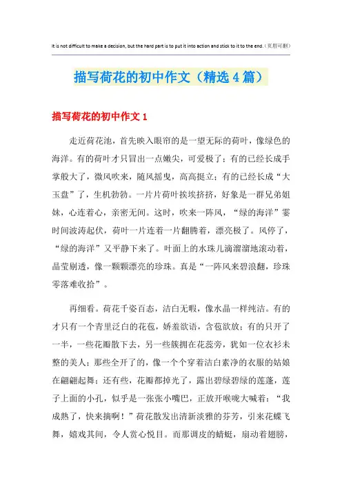 描写荷花的初中作文(精选4篇)