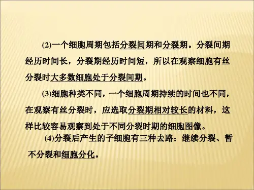细胞的生命历程精心整理ppt课件