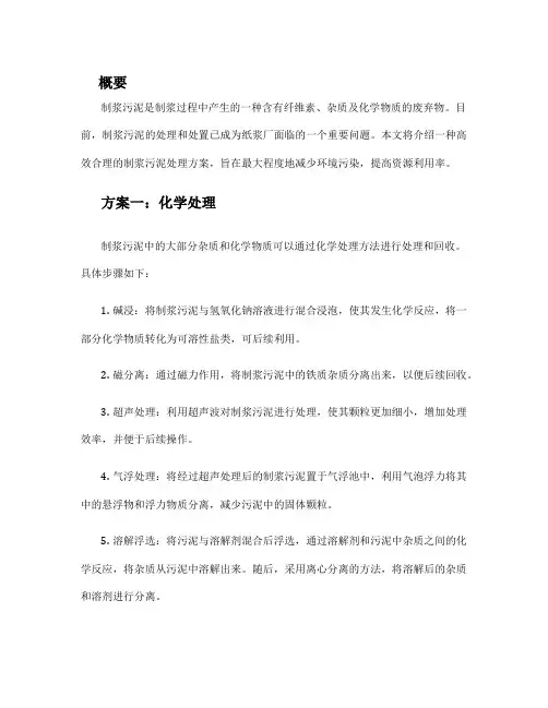制浆污泥处理方案