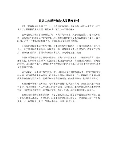 黑龙江水稻种植技术及管理探讨