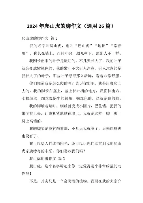 2024年爬山虎的脚作文(通用26篇)