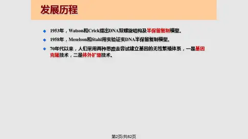 研究生PCR聚合酶链反应.pptx
