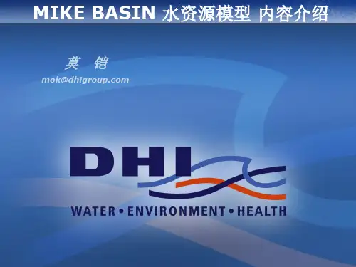 Mike basin培训