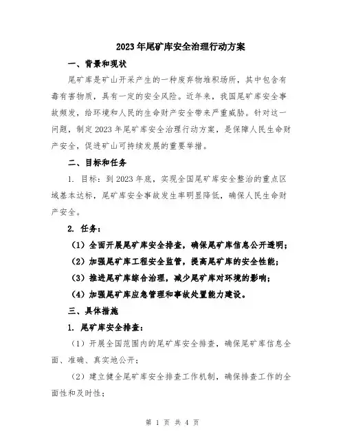 2023年尾矿库安全治理行动方案