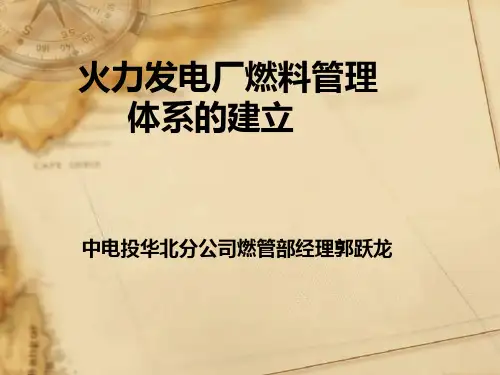 火力发电厂燃料管理体系的建立