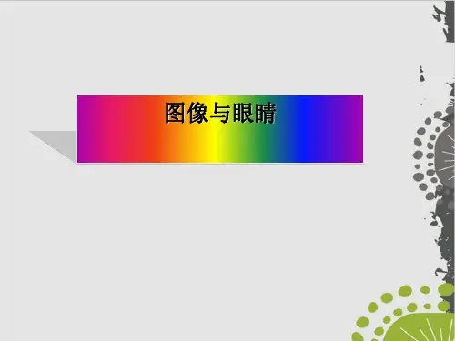 高一美术《美术鉴赏第2课-图像与眼睛-湘美版(28页)