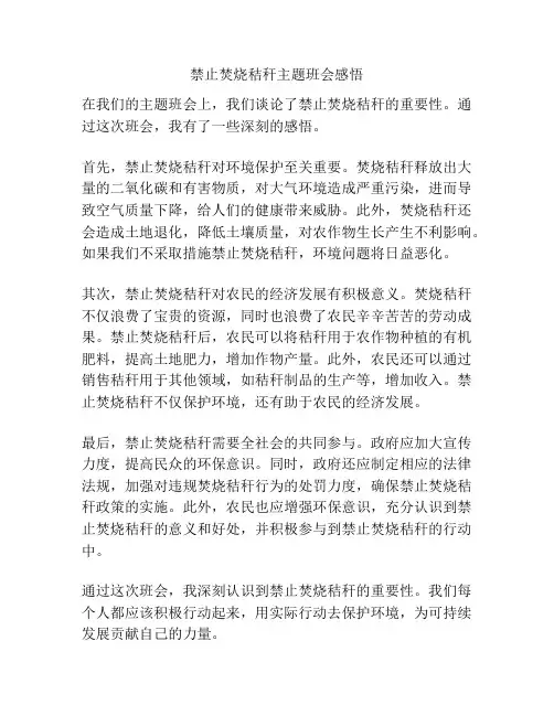 禁止焚烧秸秆主题班会感悟