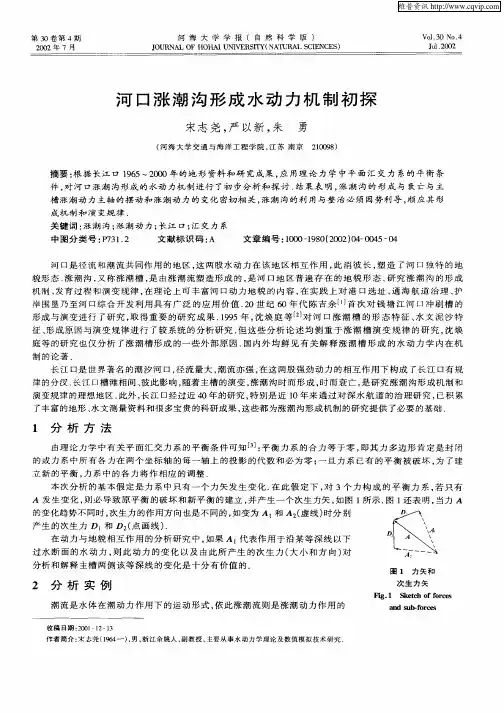 河口涨潮沟形成水动力机制初探
