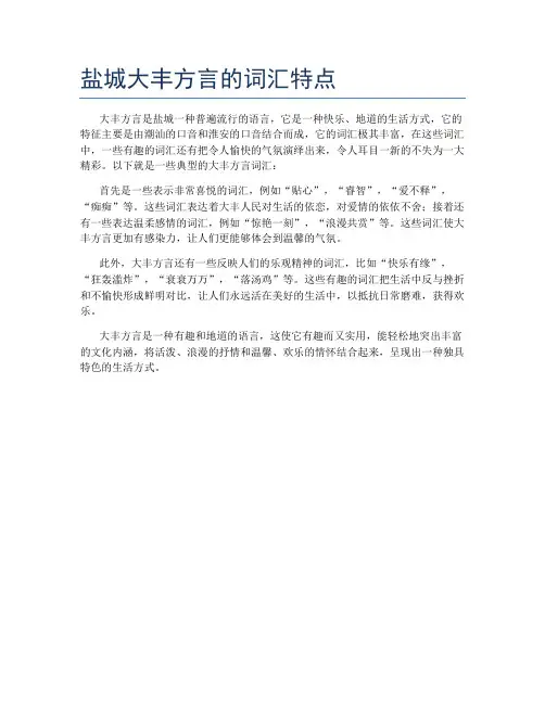 盐城大丰方言的词汇特点