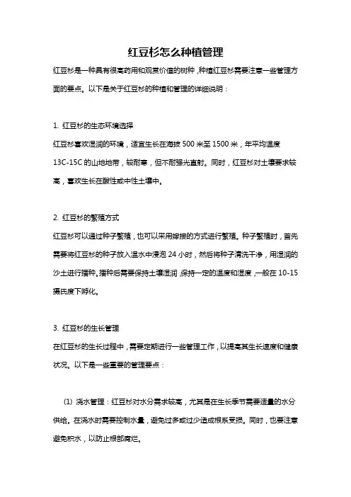 红豆杉怎么种植管理