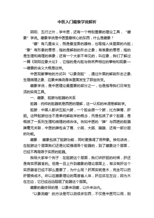中医入门藏象学说解析