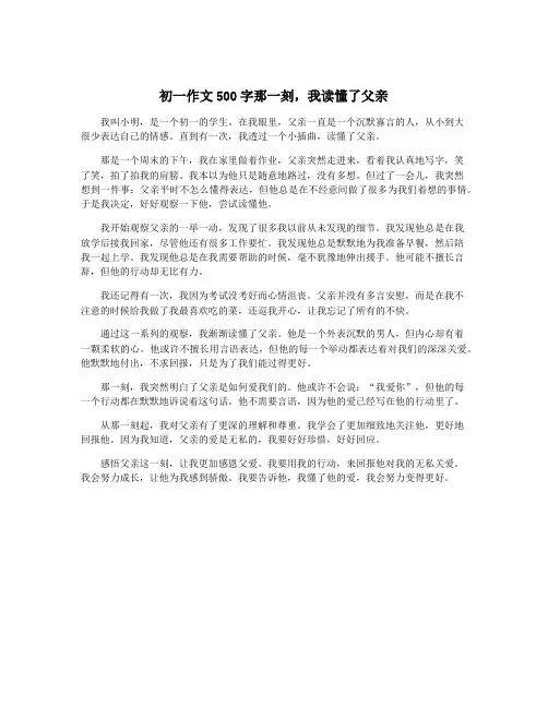 初一作文500字那一刻,我读懂了父亲