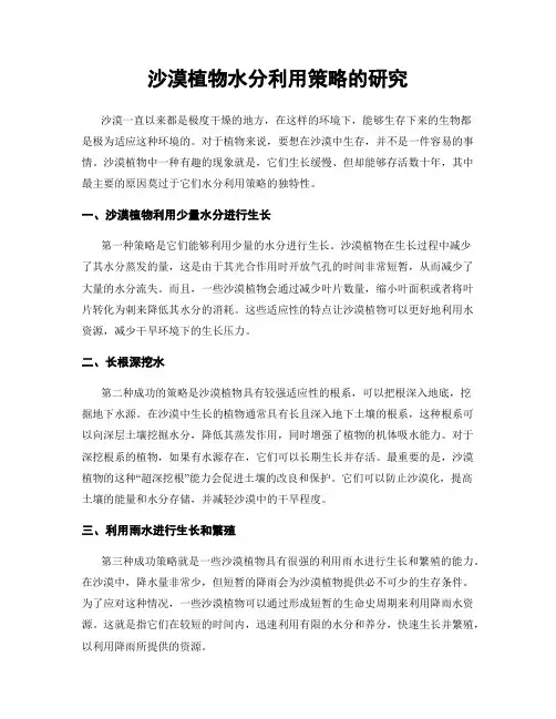 沙漠植物水分利用策略的研究