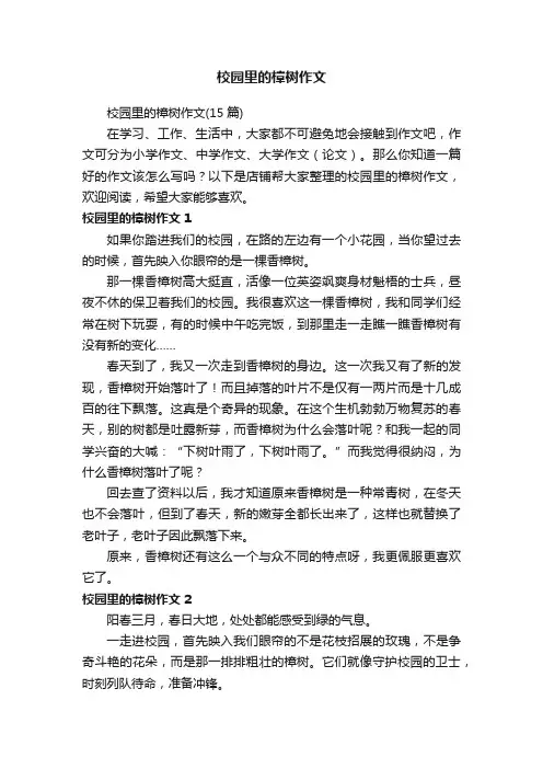 校园里的樟树作文