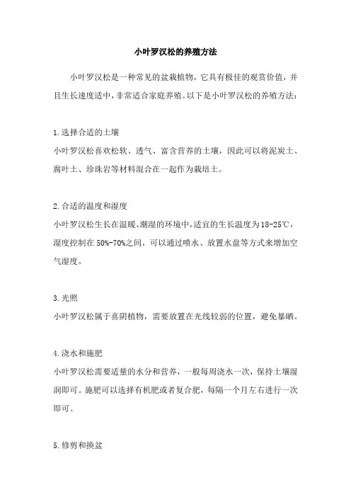小叶罗汉松的养殖方法