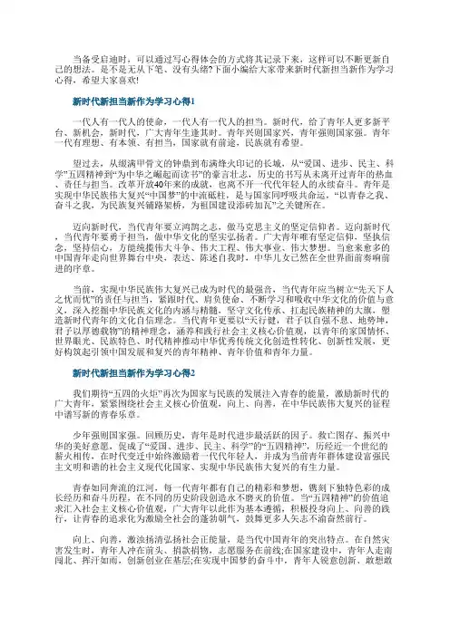新时代新担当新作为学习心得