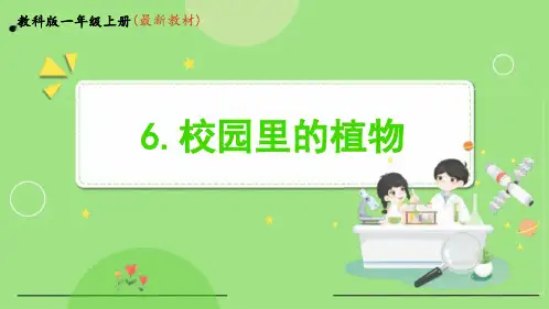 《校园里的植物》ppt课件