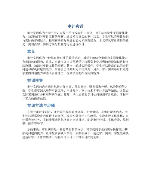 审计实训资料