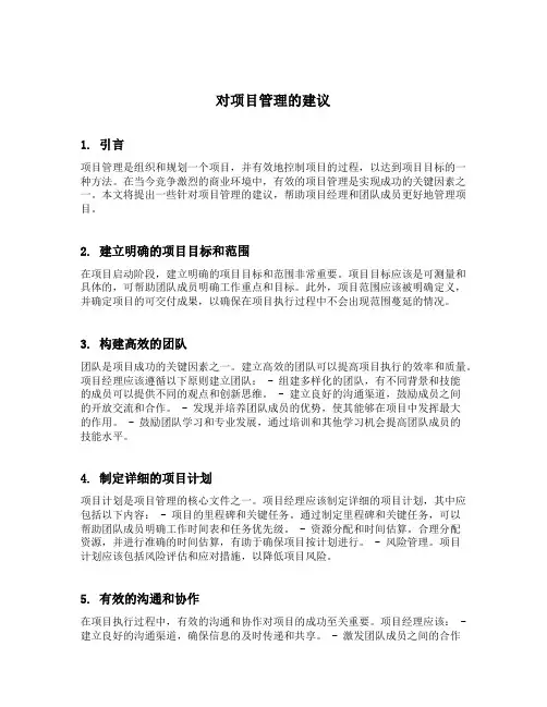 对项目管理的建议