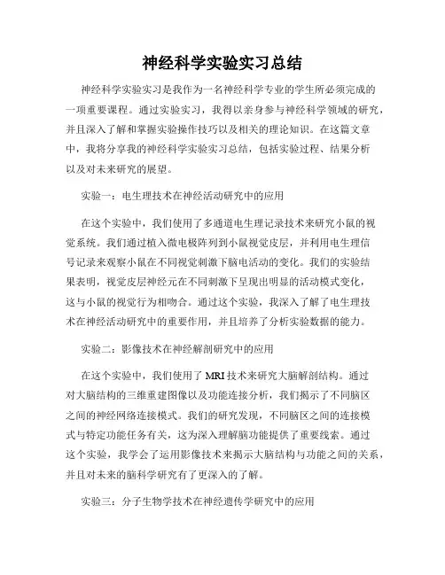 神经科学实验实习总结