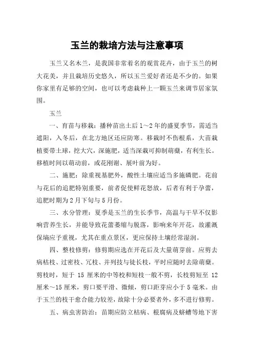 玉兰的栽培方法与注意事项
