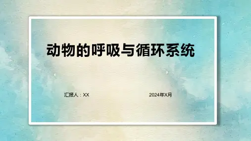 动物的呼吸与循环系统