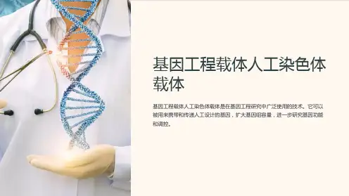 基因工程载体人工染色体载体