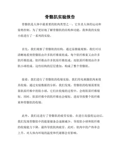 骨骼肌实验报告