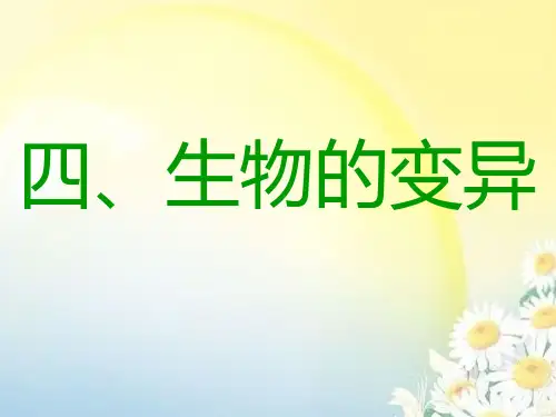 会考复习必修二课件专题四、生物的变异  (17张PPT)