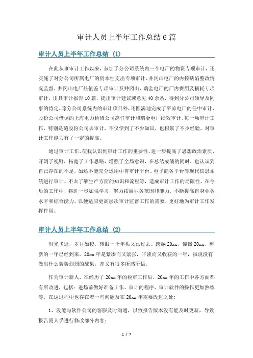 审计人员上半年工作总结6篇