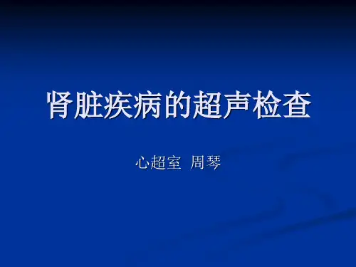 肾脏疾病的超声诊断演示文稿PPT课件