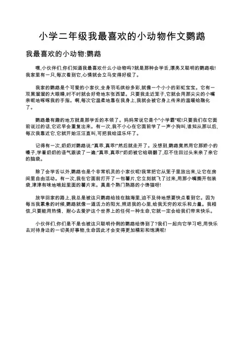 小学二年级我最喜欢的小动物作文鹦鹉
