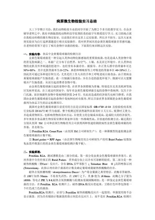病原微生物检验实习总结