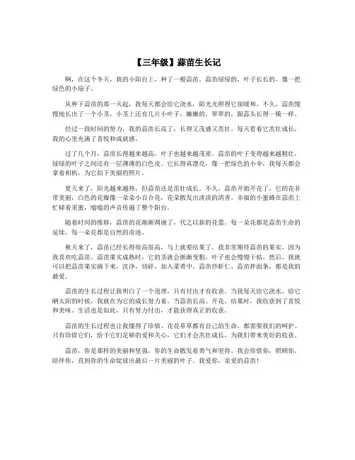 【三年级】蒜苗生长记