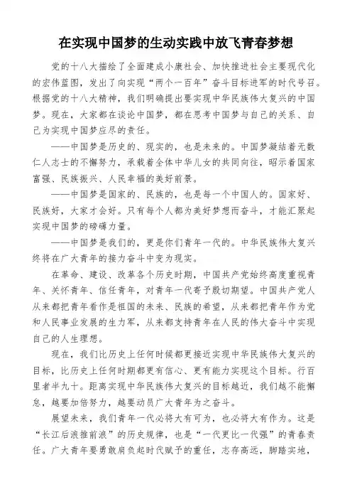 在实现中国梦的生动实践中放飞青春梦想