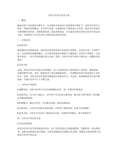 农村合作养牛运营方案