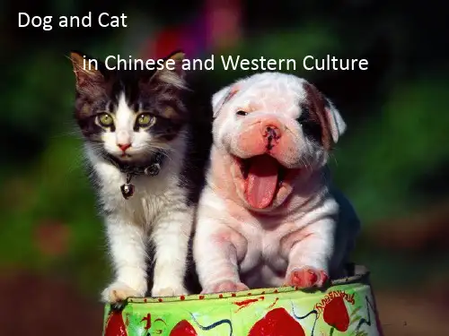 (汇总)猫与狗在中西方文化中的差异.ppt