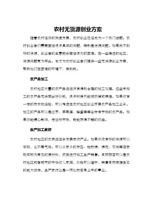 农村无货源创业方案