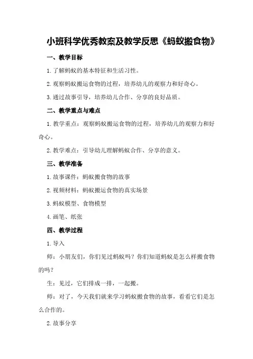 小班科学优秀教案及教学反思《蚂蚁搬食物》