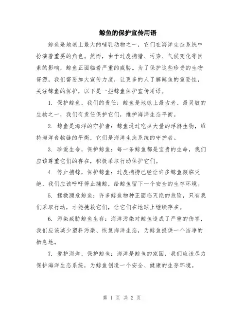 鲸鱼的保护宣传用语