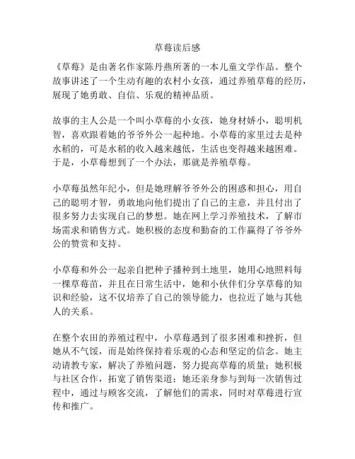 草莓读后感