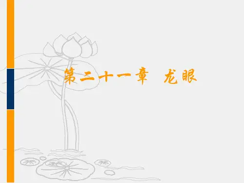 果树栽培教学课件-第二十一章  龙眼