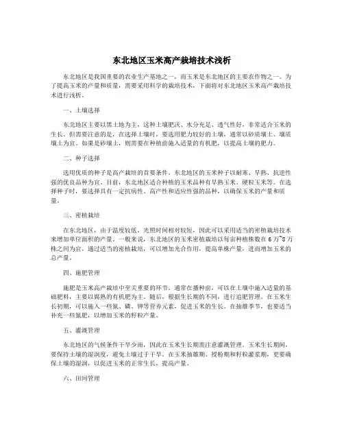 东北地区玉米高产栽培技术浅析