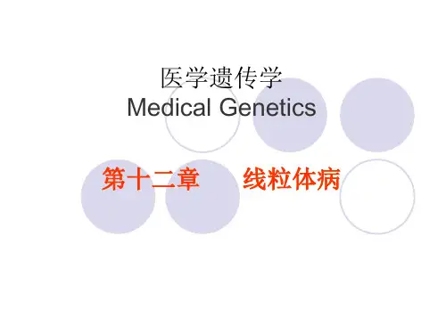 医学遗传学第十二章  线粒体病课件