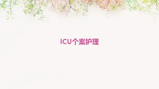 icu个案护理ppt