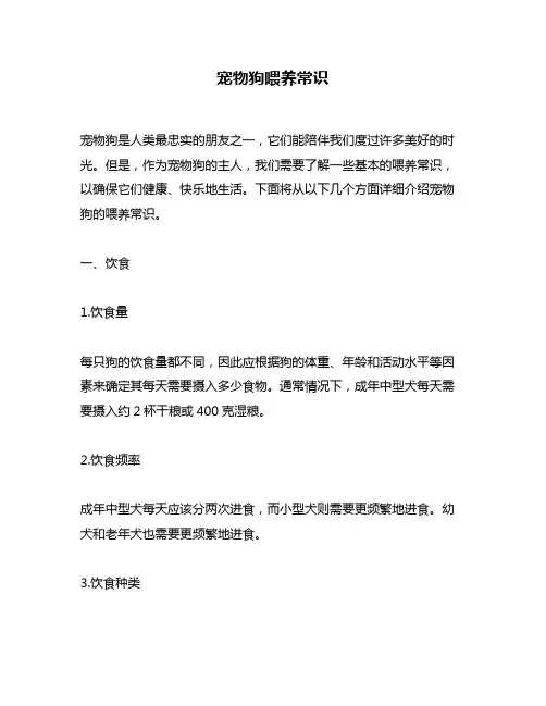 宠物狗喂养常识