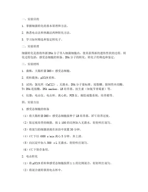 细菌转化的实验报告