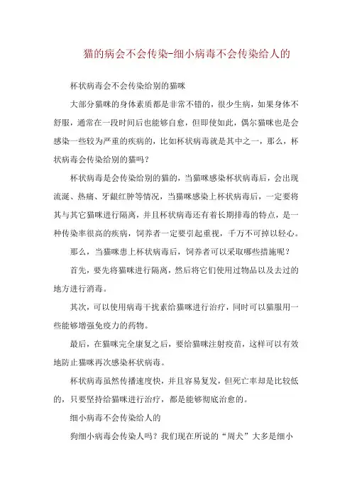 猫的病会不会传染-细小病毒不会传染给人的