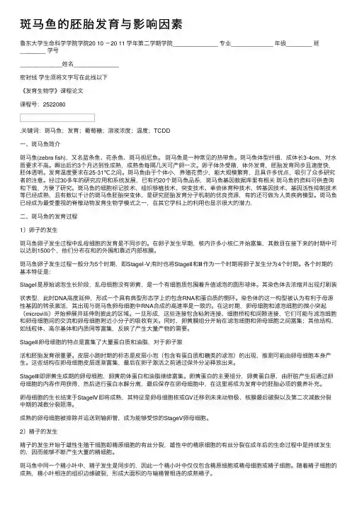 斑马鱼的胚胎发育与影响因素
