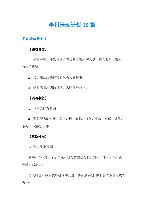半日活动计划15篇